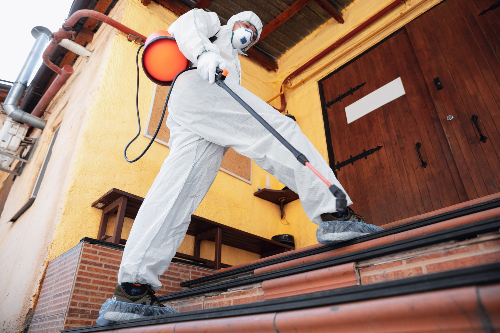 How to Identify Termite Droppings (Frass)