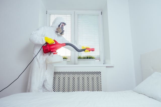 How Much Does a Bed Bug Exterminator Cost in 2025