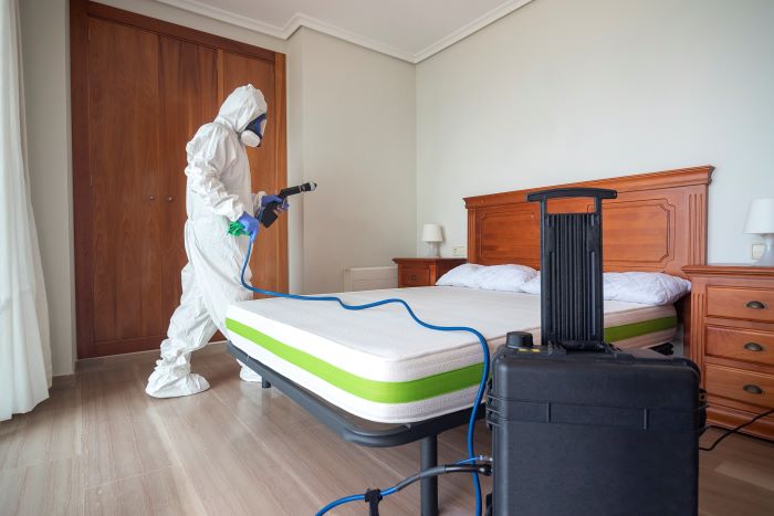 Fleas in Bed: Signs, Causes & How to Get Rid of Them!
