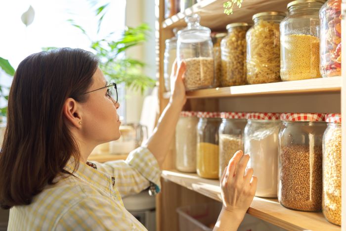 Pantry Bugs and Pests: How to Identify and Getting Rid of Them