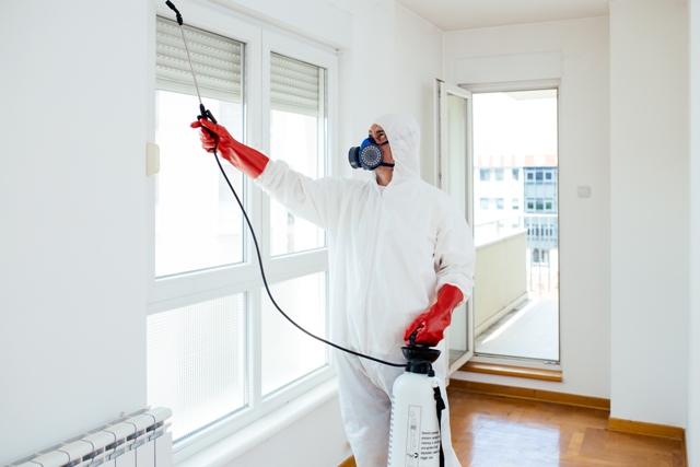 Things Exterminators Check During Termite Inspections