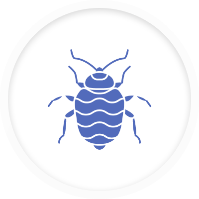 Bed Bug Control