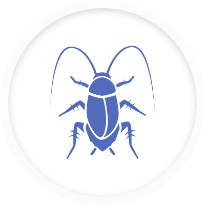 Cockroach Control
