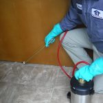 Pest Control