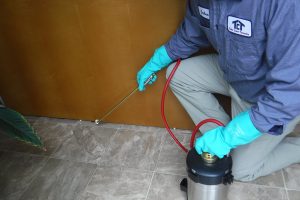 Pest Control