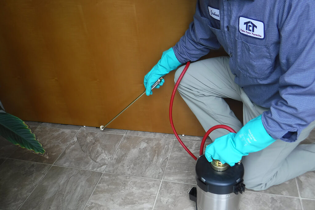 Pest Control